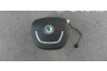 Подушка безопасности пассажира 1Z0880201AK, 1Z0880201AKTDZ Skoda Superb B6 (3T)