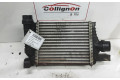Интеркулер 144961381R, 144961381R Renault Clio II