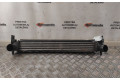 Интеркулер  R4642004, R4642004   Seat Ibiza IV (6J,6P) 