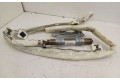 Боковая подушка безопасности 859809024046 Mini Paceman (R61)