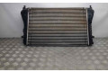 Интеркулер  3C0145805AM, 1003CD05   Seat Alhambra (Mk2) 
