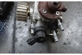 Vstřikovací čerpadlo 0445010539, 0445010539 Ford Fiesta KVJA(Euro 5)