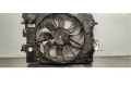 Комплект вентиляторов 214818009R Renault Clio IV