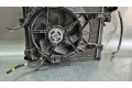 Вентилятор радиатора         Renault Trafic II (X83) 