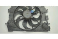Комплект вентиляторов 5020853 Dacia Sandero