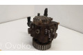 Vstřikovací čerpadlo 0445010102, 9656300380 Ford Focus pro naftový motor 1.6