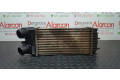 Интеркулер  0384G5, E256083   Peugeot Partner 
