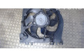 Вентилятор радиатора 8200525991, 7701068310 Renault Clio III