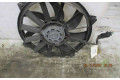 Вентилятор радиатора     1253K2, 22000936    Citroen C4 I 