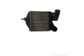 Интеркулер 4918003102, 552505720E Fiat Punto (199)