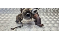 Турбина Volkswagen Golf VI 03L253016T, 7758171