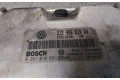 Блок управления двигателя 038906019DQ, 0281010891   Seat Ibiza III (6L)