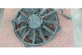 Вентилятор радиатора 9773009880, DC1706020 Citroen Berlingo