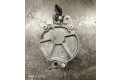 Вакуумный насос D1562C1, 0604P   Peugeot Partner