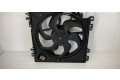 Вентилятор радиатора Renault Clio III