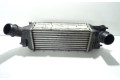 Интеркулер 00000384G6 Citroen C5