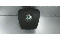 Подушка безопасности водителя 5J0880201D, 5J0880201   Skoda Fabia Mk2 (5J)