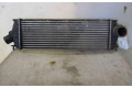 Интеркулер  8200411160, 8200411160   Renault Trafic II (X83) 