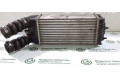 Интеркулер 9645965180, IA1322 Citroen Xsara