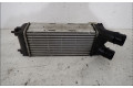 Интеркулер  384L9   Peugeot Partner 
