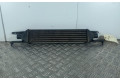 Интеркулер 55702237 Fiat Grande Punto