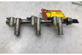 Топливная рампа 9802438180, 9675330380   Citroen C4 II Picasso   для двигателя EB2DTS(HNY)