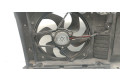 Вентилятор радиатора 1253A9, 1253A9 Citroen C4 Grand Picasso