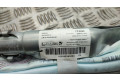 Боковая подушка безопасности CN15A042D94AC Ford Ecosport