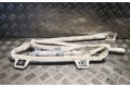 Боковая подушка безопасности 2188600202, A2188600202   Mercedes-Benz CLS C218 X218