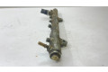 Vstřikovací lišta 0445214065   Nissan Primera  pro naftový motor 1.9  