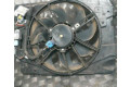 Вентилятор радиатора Renault Clio IV