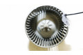 Вентилятор печки       Chevrolet Tacuma