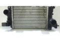 Интеркулер  13283253, R3451004   Opel Meriva B 