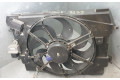Вентилятор радиатора     214815012R    Dacia Dokker 