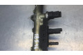 Топливная рампа 0445214017 Citroen C5 2.2