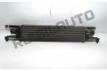Интеркулер     Fiat Punto (188) 
