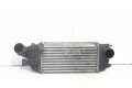 Интеркулер     Citroen C5 1.6
