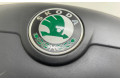 Подушка безопасности водителя 1Z0880201AK Skoda Octavia Mk2 (1Z)