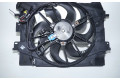 Комплект вентиляторов 214818009, 214818009 Dacia Logan II