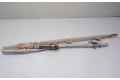 Подушка безопасности двери 5JA880741D, 5JA880741D   Skoda Rapid (NH)