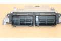 Блок управления двигателя 0281036223, 0281036223 Ford Transit - Tourneo Connect