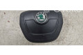 Подушка безопасности водителя 5J0880201K, 61872050B Skoda Fabia Mk2 (5J)