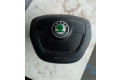 Подушка безопасности водителя 5J0880201H Skoda Fabia Mk1 (6Y)