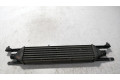 Интеркулер  INTERCOOLER   Fiat Punto (199) 1.2