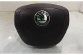 Подушка безопасности водителя 5J0880201H Skoda Fabia Mk2 (5J)