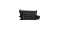 Интеркулер 144963014R Dacia Sandero