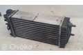 Интеркулер 9645965180, IA1322 Citroen Xsara Picasso 1.6