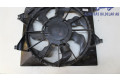 Электрический вентилятор радиаторов 253801P250   KIA Venga