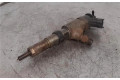 Форсунка 0445110252, 0445110252    Citroen Nemo   