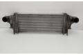 Интеркулер  A1645001900, A1645001900   Mercedes-Benz R W251 
